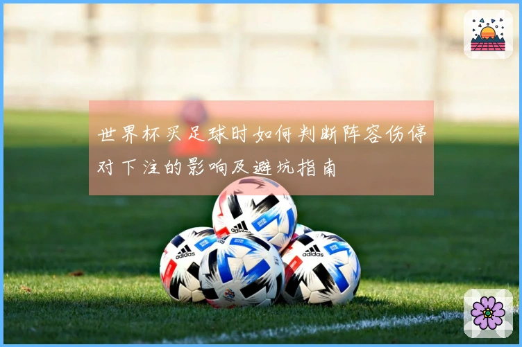 333体育体育资讯文章配图