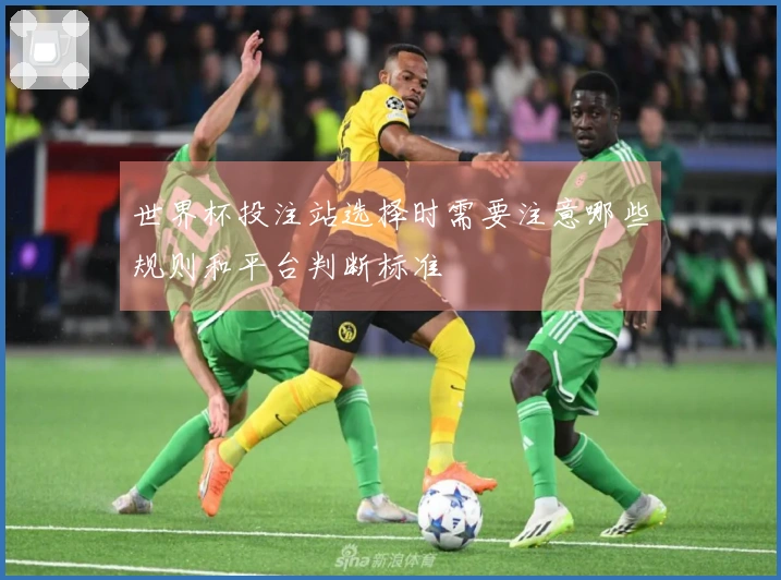 世界杯投注站选择时需要注意哪些规则和平台判断标准