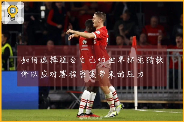 如何选择适合自己的世界杯竞猜软件以应对赛程密集带来的压力